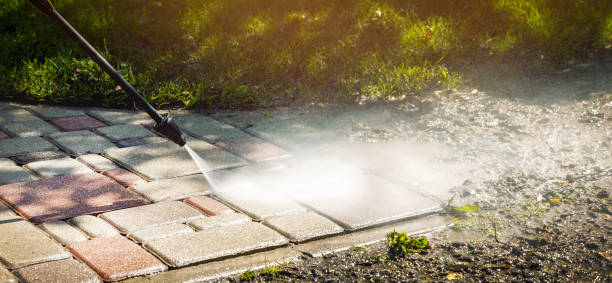 Best Sidewalk and Walkway Cleaning  in Riceville, TN